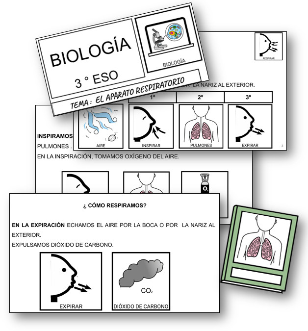 L' APARELL RESPIRATORI
