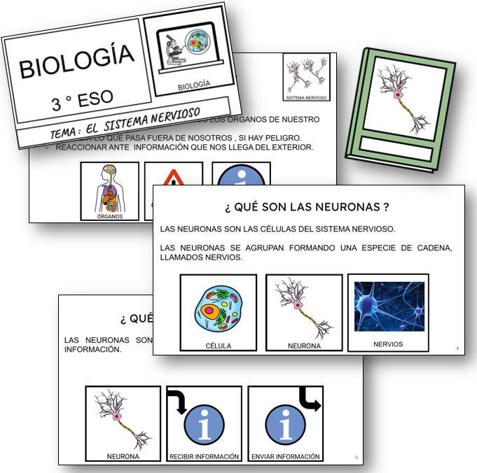 Unidad didáctica: El sistema nervioso