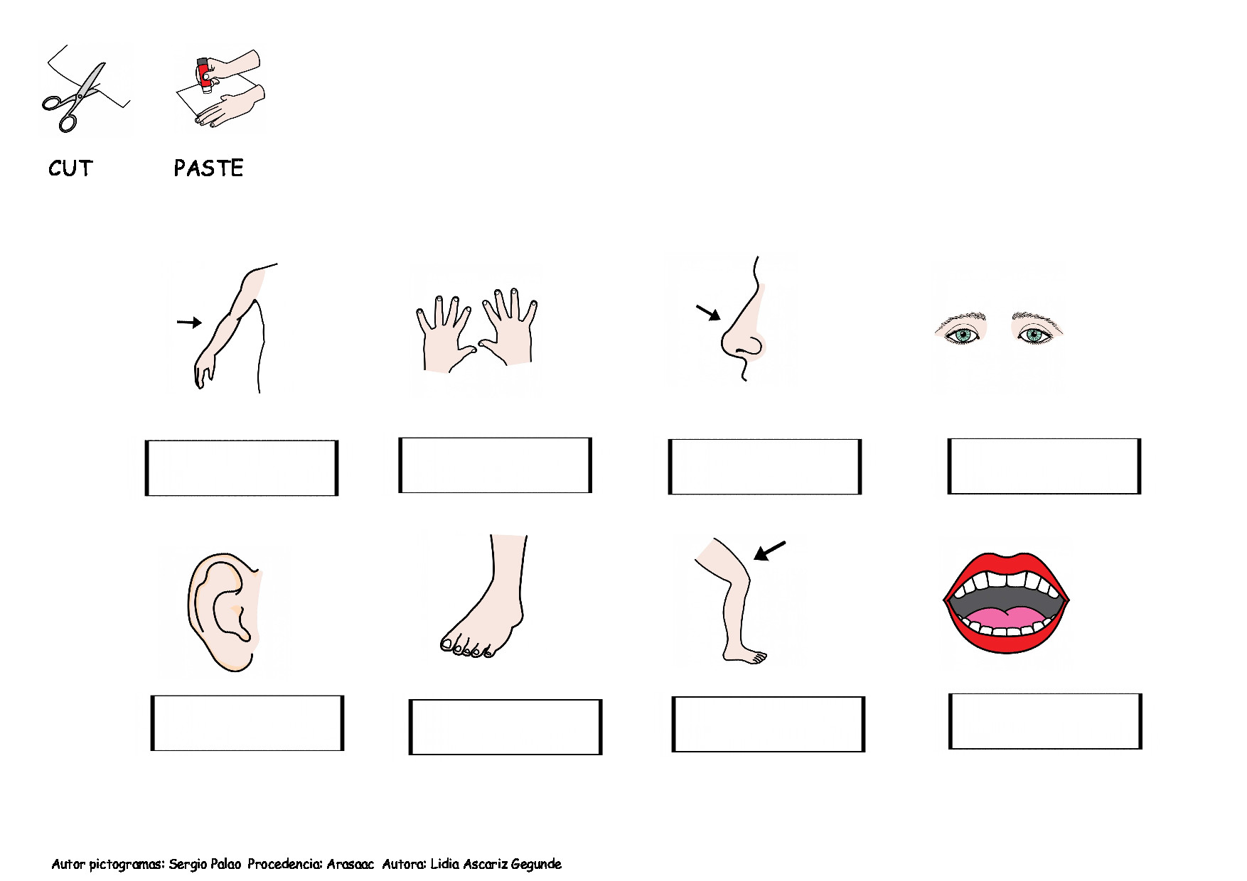 Vocabulary: Body