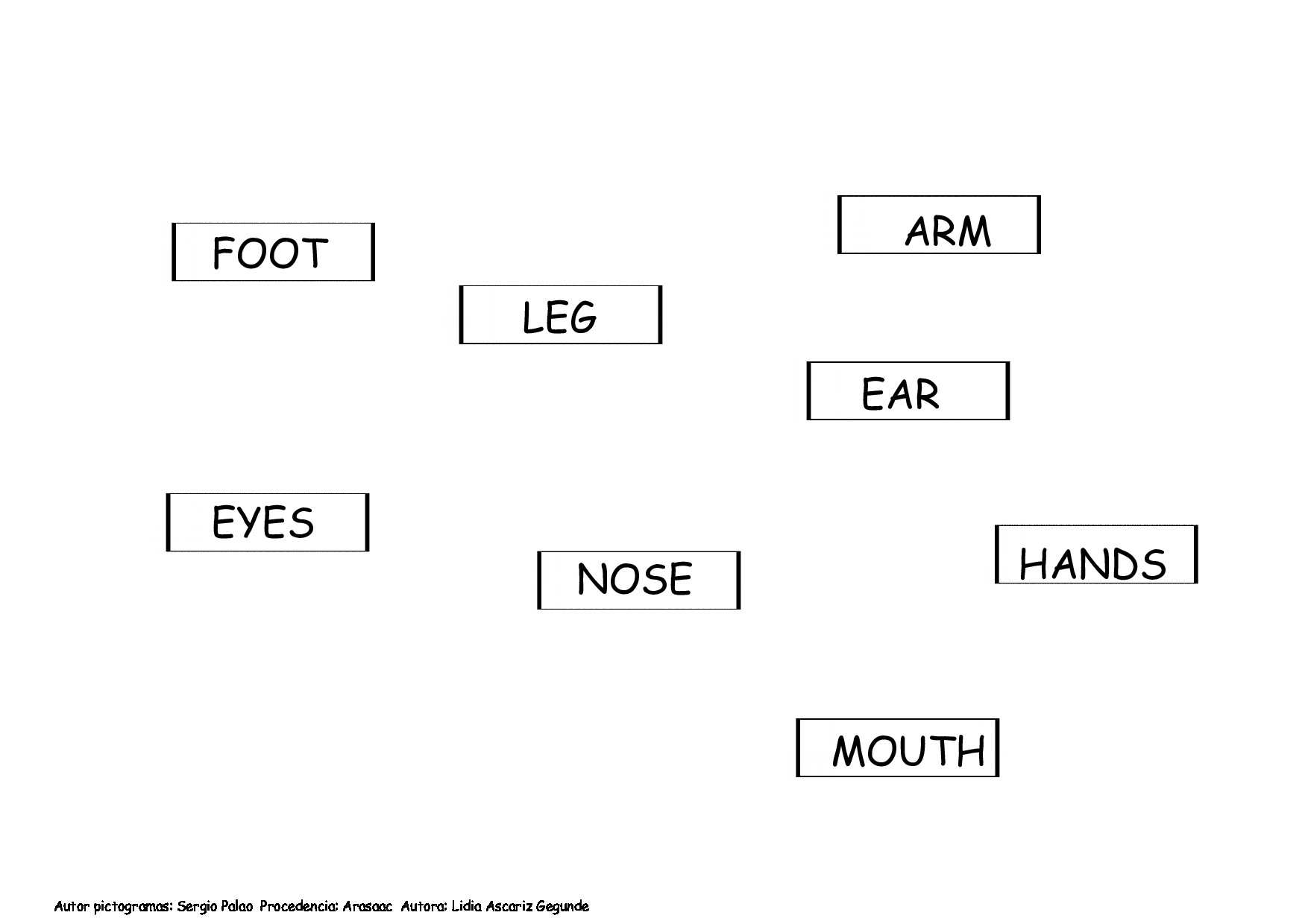Vocabulary: Body