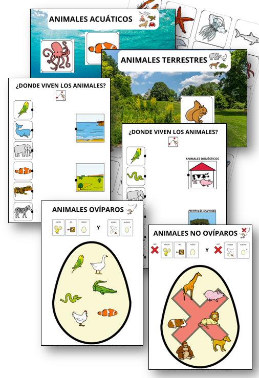 Unidad adaptada:  Los animales.