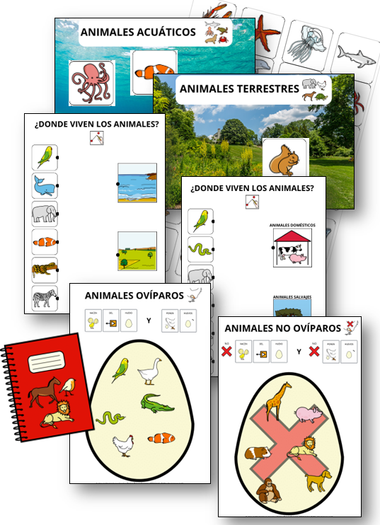 Unidad adaptada:  Los animales.