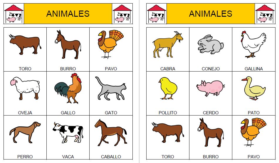 Bingos de animales domésticos.