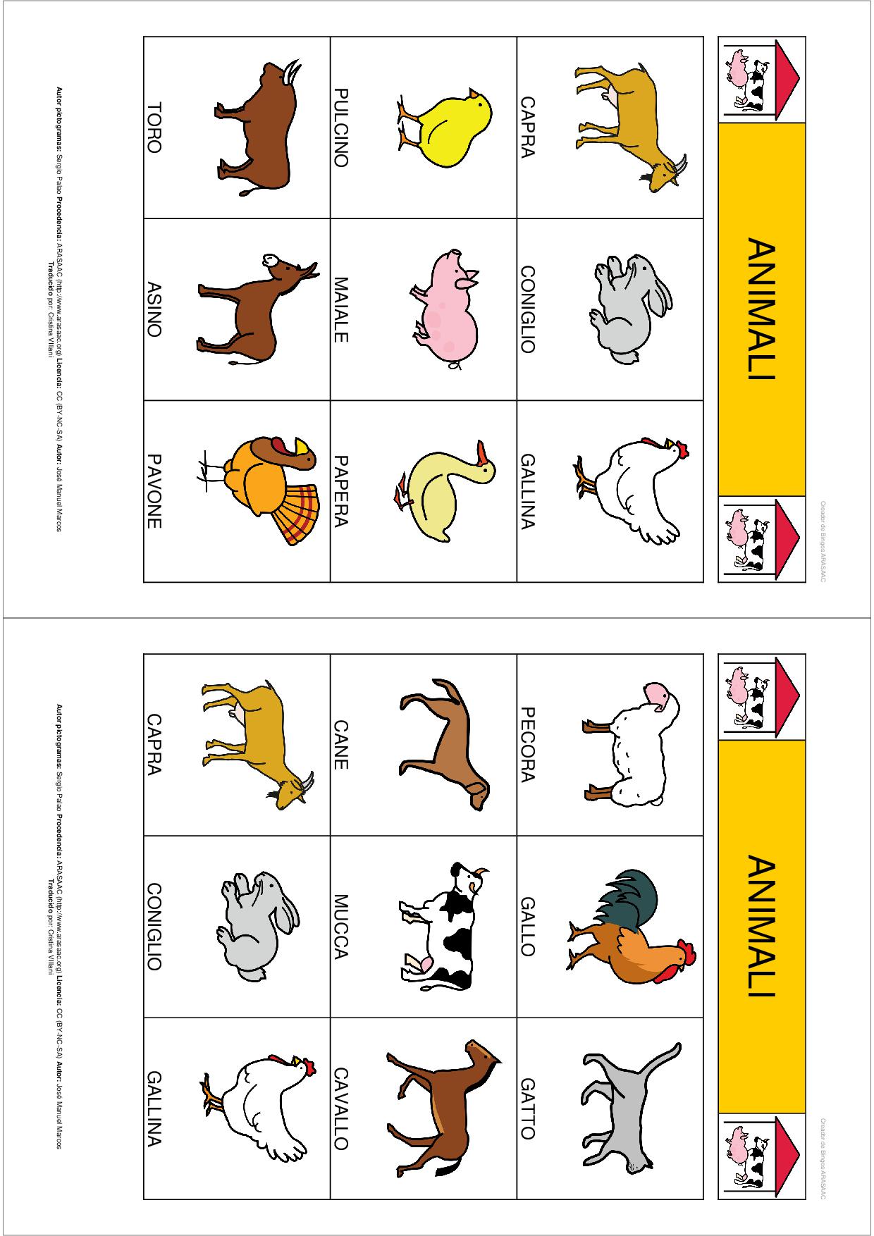 Tombola degli animali