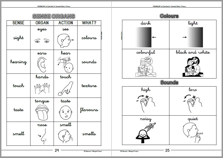 Vocabulary Book - 1st Cycle - Book A (Extended Edition)