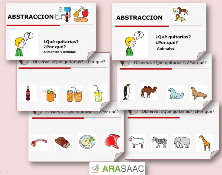 Abstracción y clasificación.