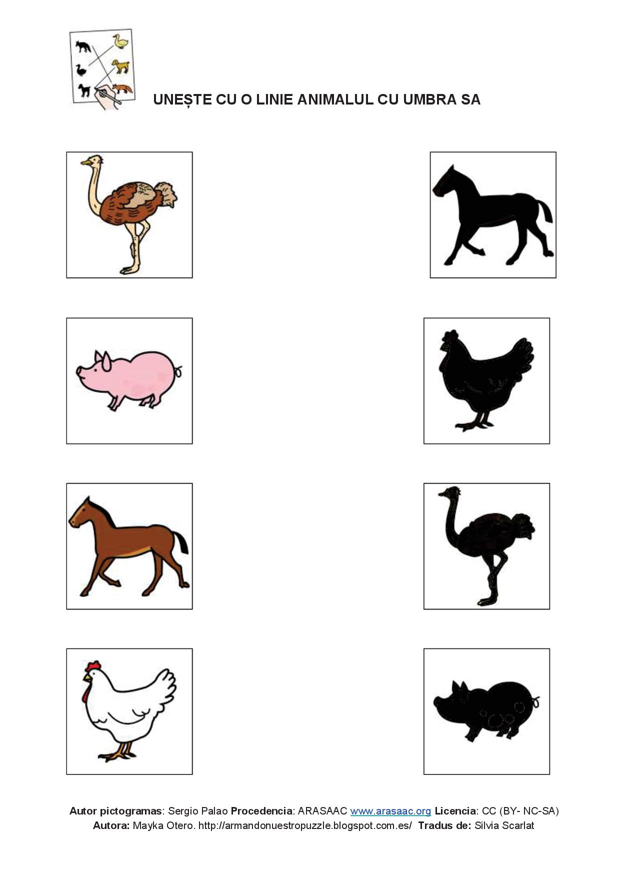Asociere animal - umbră - nume