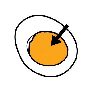 jaune d'oeuf