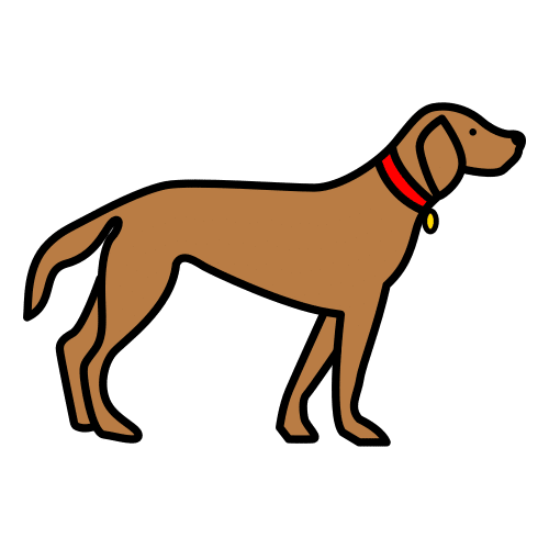 perro