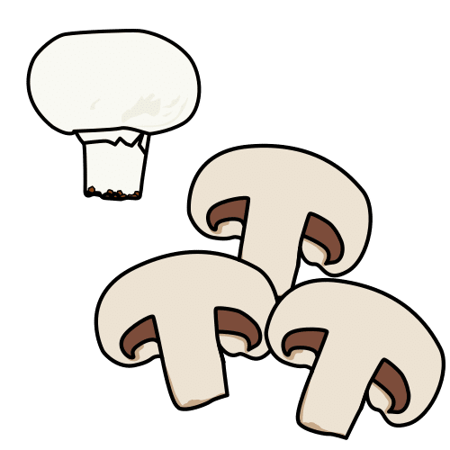 champignon